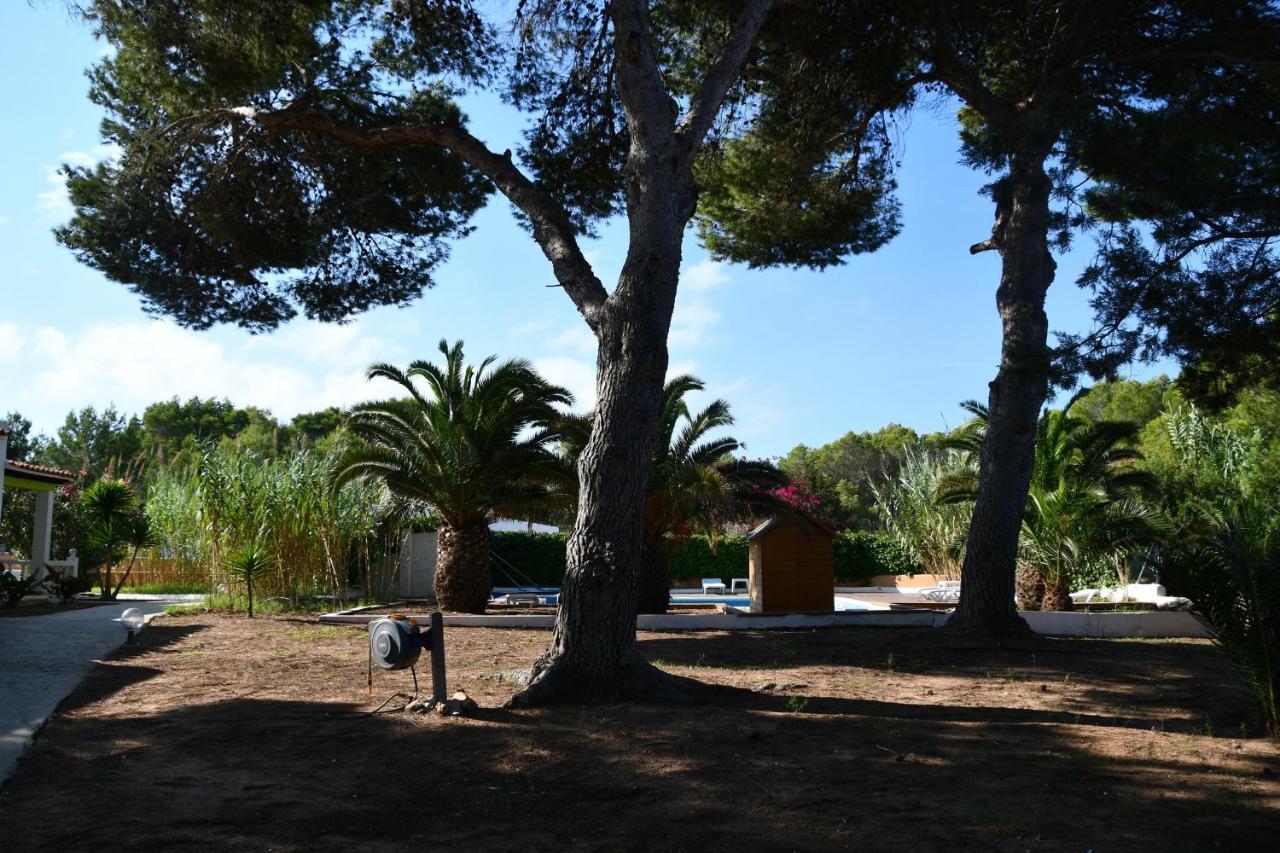 Apartamentos Lesley - Es Pi Playa Migjorn Εξωτερικό φωτογραφία