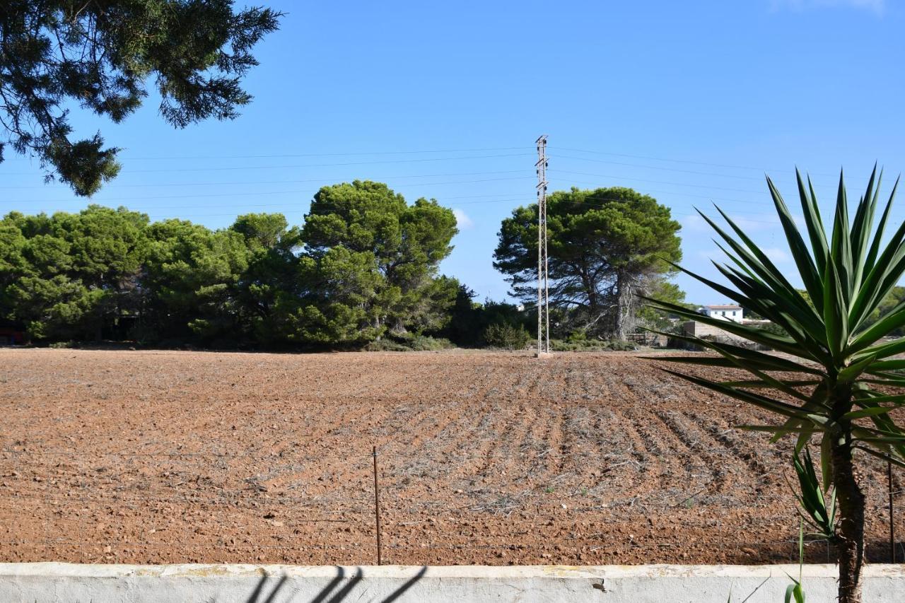 Apartamentos Lesley - Es Pi Playa Migjorn Εξωτερικό φωτογραφία